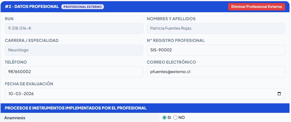 Ficha de un profesional cargado en el equipo evaluador del FUDEI (Tab 2)