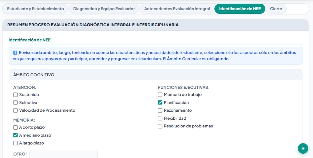 Pestaña 4 del FUDEI — Identificación de NEE