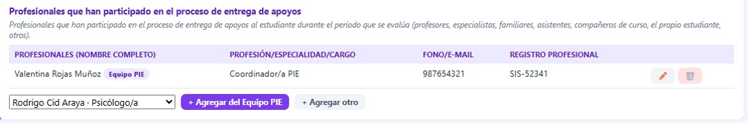 Tabla de profesionales que han participado, con una fila del Equipo PIE y los botones de agregar